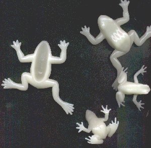 glow in the dark frogs