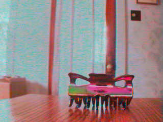 hair claw