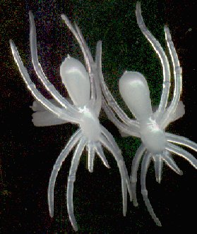glow in the dark spider rings